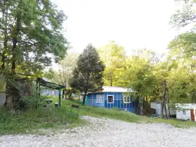 Лесная сказка - 33