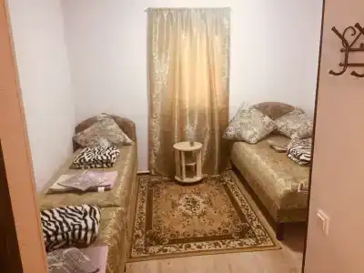 Лесной двор - 6