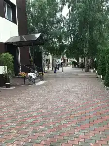 Белые Ивы - 13