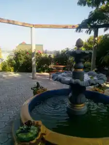 Золотое руно - 2