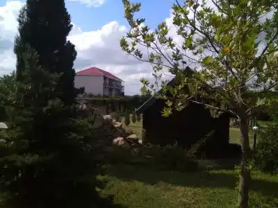 Жемчужина - 51