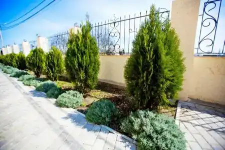 Империал - 24