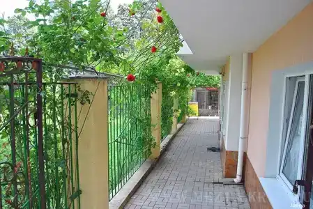 Мечта - 88