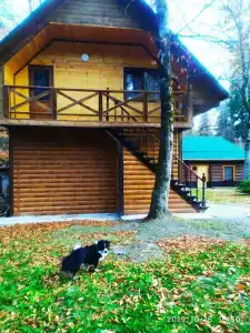 Лесной дом - 4