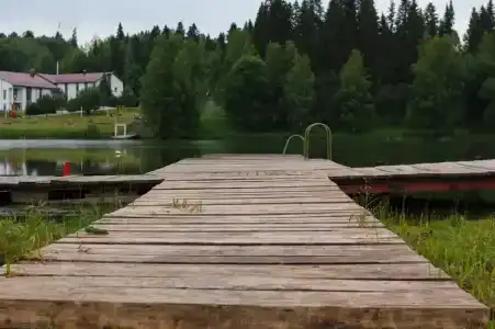 Березка - 0