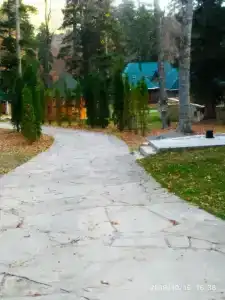 Лесной дом - 30