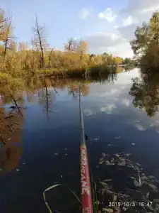 Бодрость - 34