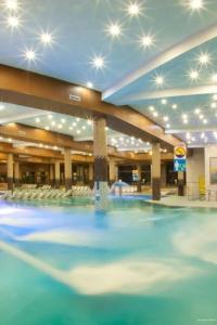 Gołębiewski Białystok - 49