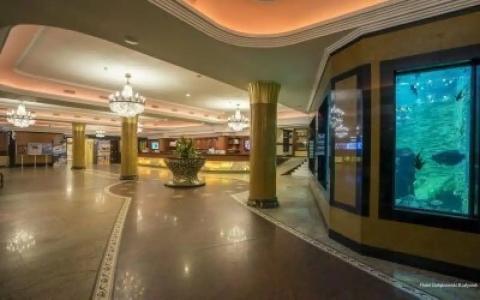 Gołębiewski Białystok - 68