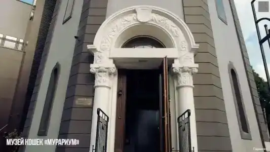 Парадокс - 20