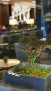 Hilton Istanbul Maslak - 46