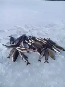 Северный- Остров рф - 9