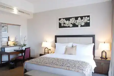 Çelik Palas Convention Center & Thermal SPA - 43