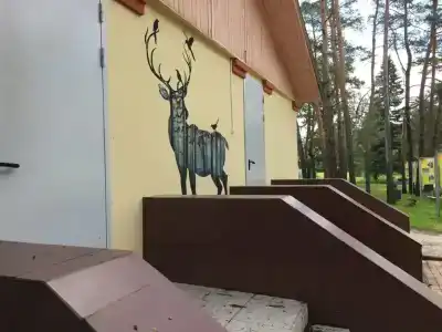 Сосновый бор - 16