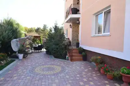 Золотой лев - 57