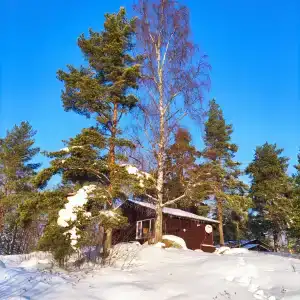 Скала - 29