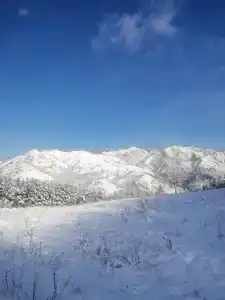 Чикмарёвых - 21