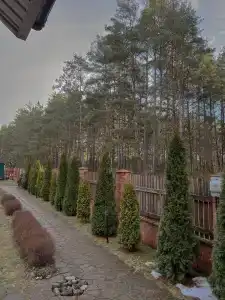 Лесной Эдем - 82