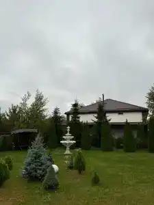 Эдельвейс - 25