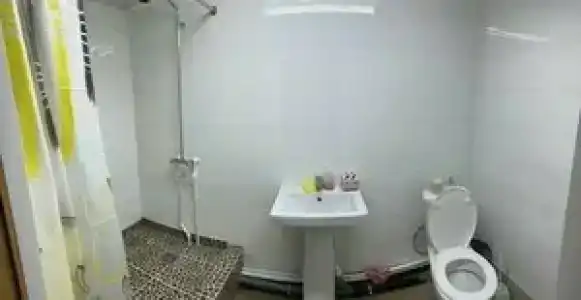 Сафари - 24