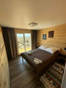 Altay Steppe - 41
