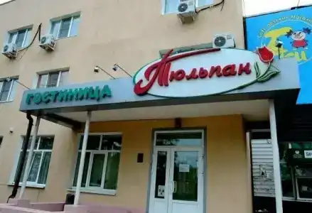 Тюльпан - 25