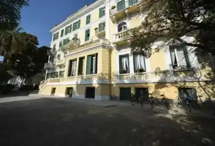 Petit Royal - 0