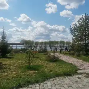 Прованс - 38