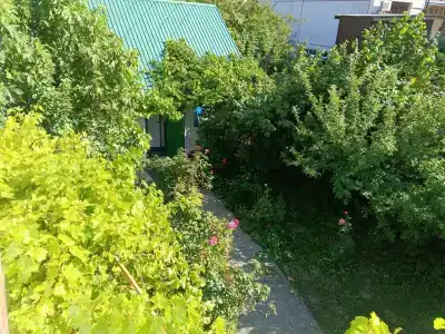 Яна - 9