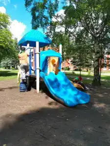 Сосновый - 30