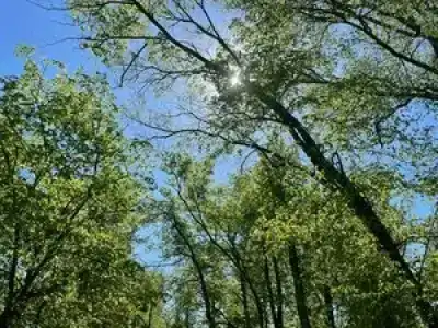 Хуторок-1 - 49