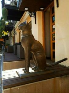 Barsuna hotel/bar - 16