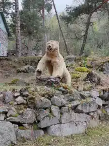Шхельда - 16