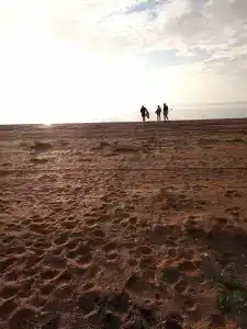 Новоотрадное-1 - 12