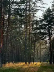 Дуплекс на Чудском озере - 47