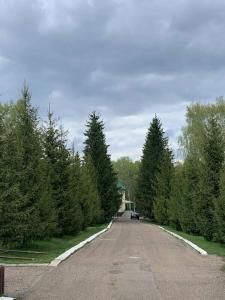Новый ковчег - 40