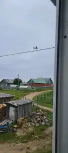 Алексеевский Дом - 13