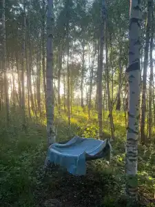 Диоген - 46