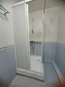 Тюльпан - 44