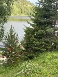 Старая Умба - 4