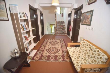 Caretta Caretta - 15