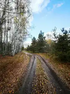 Варяг - 44