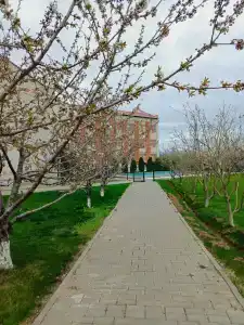 Баскунчак - 5