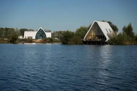 Сома - 11