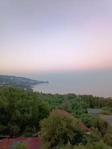 Villa Cosa Nostra - 34