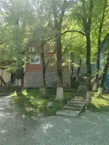 Кавказ-М - 21