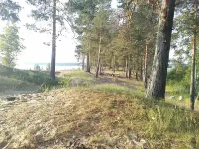Онежский петроглиф - 47