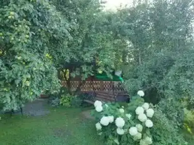 Усадьба Сафроновых - 35