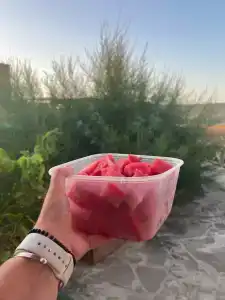 Добрый кит - 20