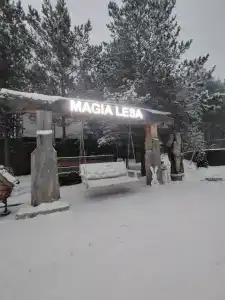 Магия леса - 22